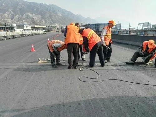 乌鲁木齐道路桥梁病害治理